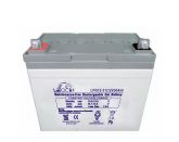 Leoch LPG 12-31